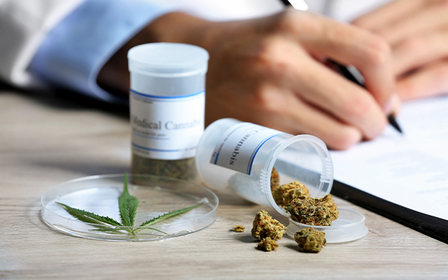 Medizinisches Cannabis aus Ihrer Wilhelms-Apotheke